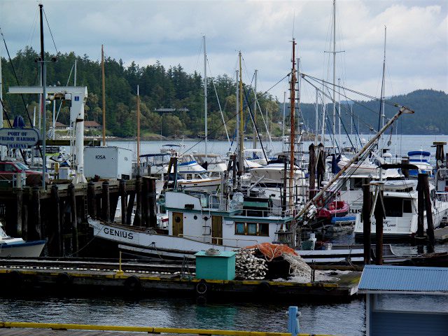 Cycling the San Juan Islands - Swift Industries